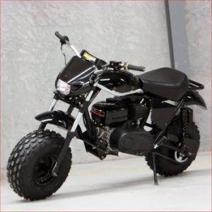 Helmetkarts – RB225E – Dragster – Mini Bike Main Vehicles Mini Bikes 25