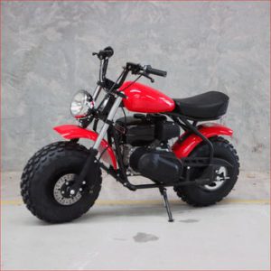 Helmetkarts – RB225E – Dragster – Mini Bike Main Vehicles Mini Bikes 29