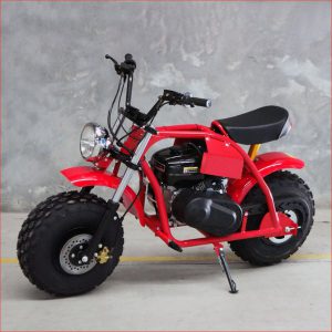 Helmetkarts Australia Ltd Pty – XB200 Mono Classic – Mini Bike Main Vehicles Mini Bikes