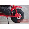 Helmetkarts Australia Ltd Pty – XB200 Mono Classic – Mini Bike Main Vehicles Mini Bikes 4