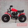 Helmetkarts Australia Ltd Pty – XB200 Roadster Classic – Mini Bike Main Vehicles Mini Bikes 3
